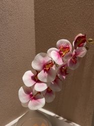 -Hi Beauty Skin 科技美肤中心