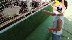 -可可天空农场(中大店)