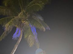 -JW万豪厨房餐厅·滨海草坪烧烤·海鲜·海景(三亚绿发山海天JW万豪酒店)