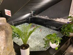 -龙抄手食府(浣花北路店)