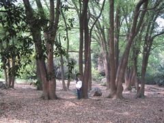 -武汉大学-樱园