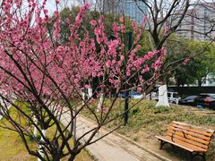 -武昌江滩