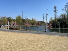 -新江湾城公园
