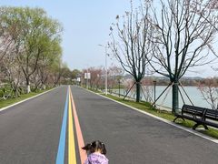 -羊山湖公园