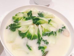 白菜仔-东富酒家(龙湖西溪天街店)