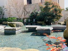 -上海崇明金茂凯悦酒店