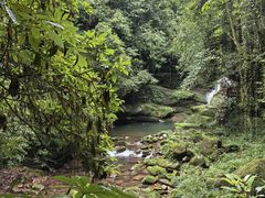 -中国大熊猫保护研究中心雅安碧峰峡基地