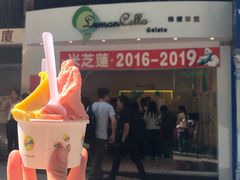 -柠檬车露(卖草地店)