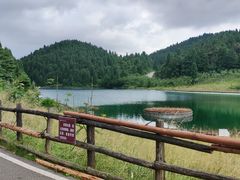 -武陵山森林公园