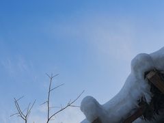 -静之湖湖畔餐厅