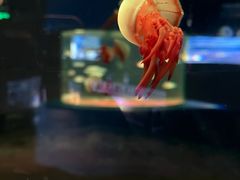 -欢乐海岸海洋奇梦馆