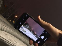 -志龙皇冠吃货椰子铺