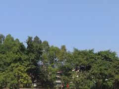 -广州雕塑公园