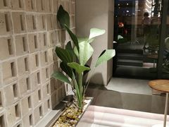-喜马拉雅森(运河汇1958店)