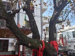 -后海村