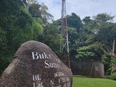 -武吉知马自然保护区