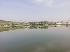 -东湖公园