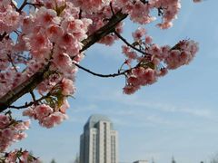 -江南大学(蠡湖校区)