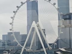 -金鸡湖景区