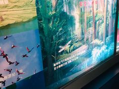 -上海昆虫博物馆