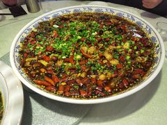 -新概念来凤鱼(璧山店)