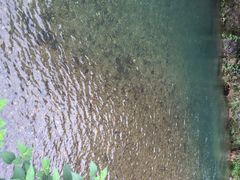 -宁波五龙潭景区