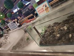 -悦橙烤肉海鲜自助(中央大街店)