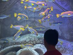 -亚特兰蒂斯水世界冒险乐园