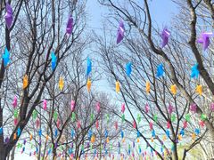 -大兴滨河森林公园