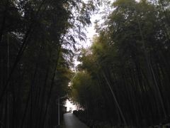 -石塘人家
