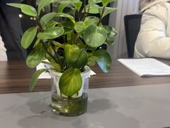 -徐思源律师团队·法律咨询(安顺路分店)
