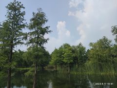 -贡湖湾湿地公园