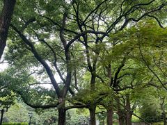 -上海虹桥迎宾馆