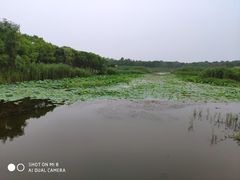 -同里国家湿地公园