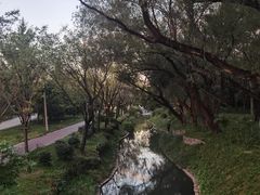 -北坞公园