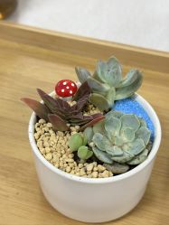 -金月汇月子会所(江门店)