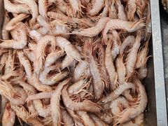 -今鲜源酒店·海鲜锅贴青岛菜(新湛路店)