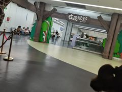 -厦门诚毅自然探索馆