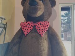 -济州岛泰迪熊博物馆