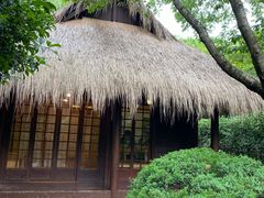 -中国茶叶博物馆(双峰馆区)