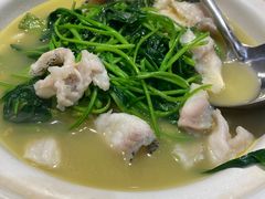 -刘胖子家常菜·蹄花焖藕(中南店)