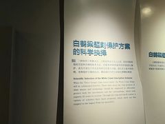 -白鹤梁水下博物馆
