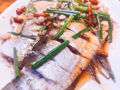 -印象江南(东栅店)