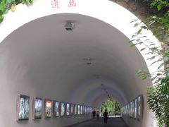 -深圳国际园林花卉博览园