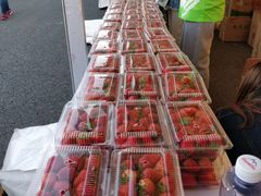 -南京市无想山景区