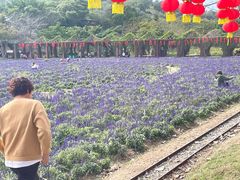 -丹樱生态园
