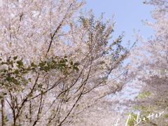 -南山风景名胜区