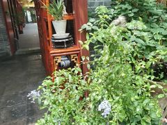 -悦真雅院·四合院·清真私房菜(雍和宫店)