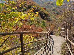 -天女山森林公园