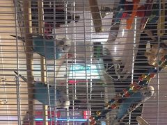 -舌尖上的食缘花园主题餐厅